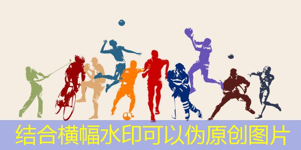 中老年室内健身道具有哪些
