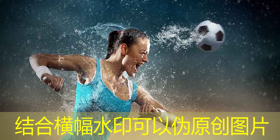 室内健身吊绳推荐哪款比较好